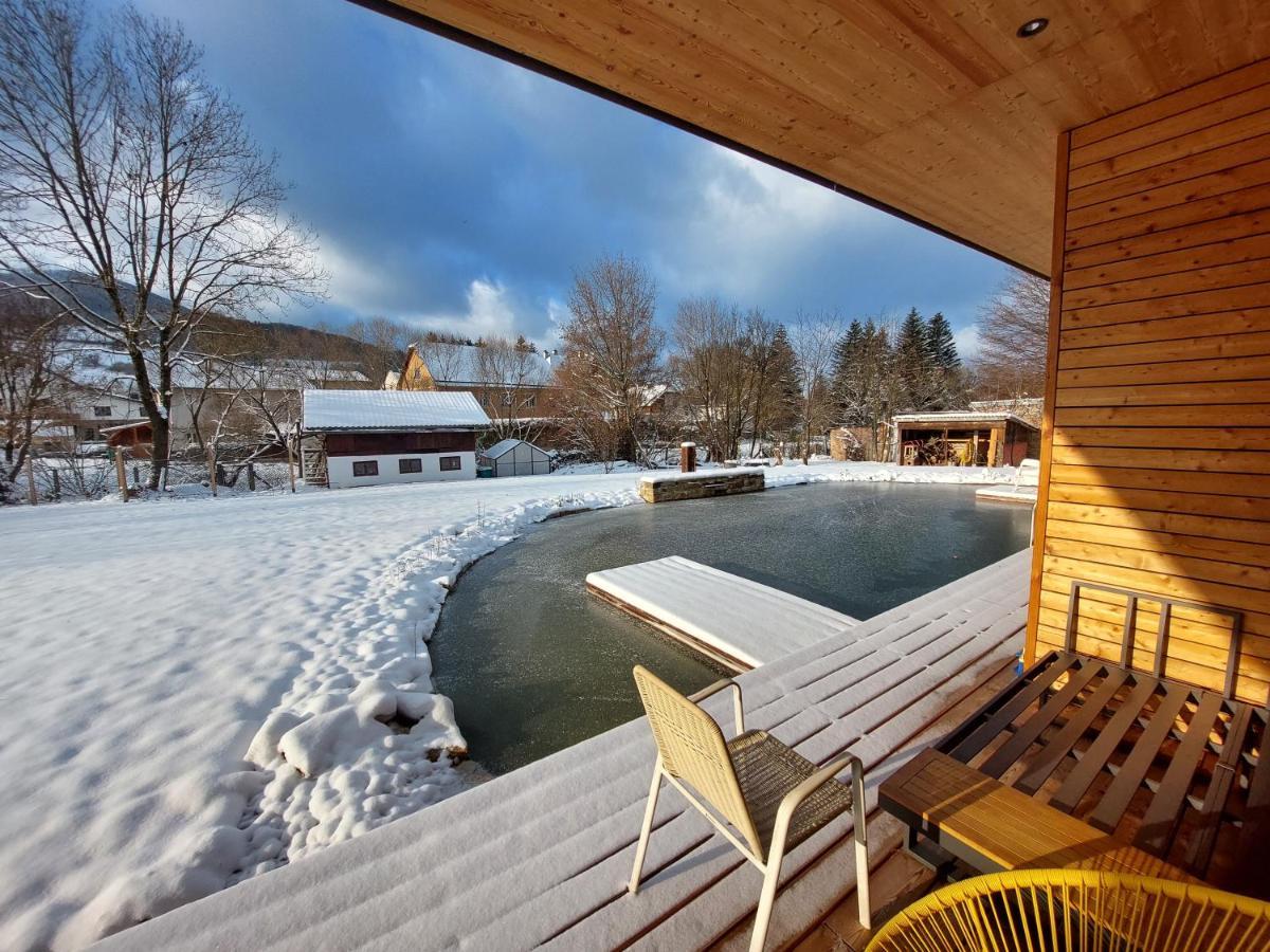 Appartement Am Teich Hainfeld Extérieur photo